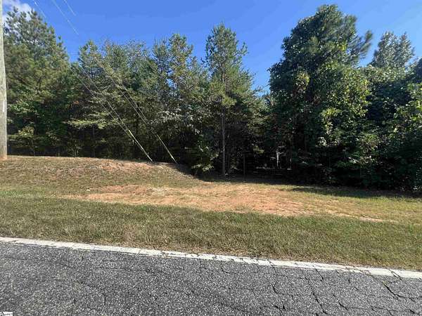 36.5 Acres of Recreational Land for Sale in Pauline, South Carolina