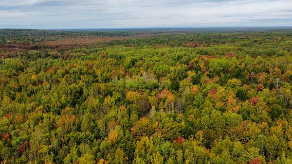 44.8 Acres of Recreational Land & Farm for Sale in Greenbush, Maine