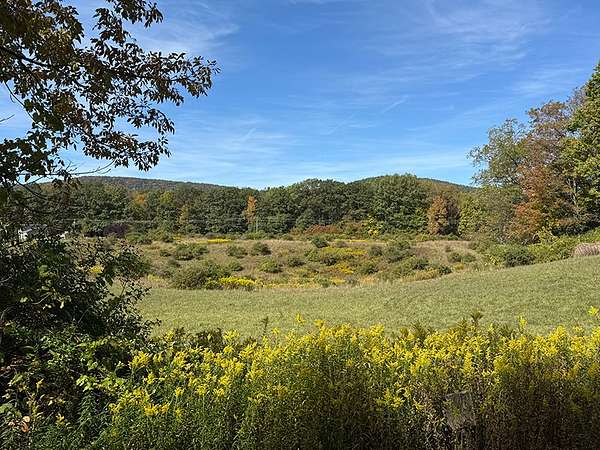 10 Acres of Land for Sale in Cooperstown, New York