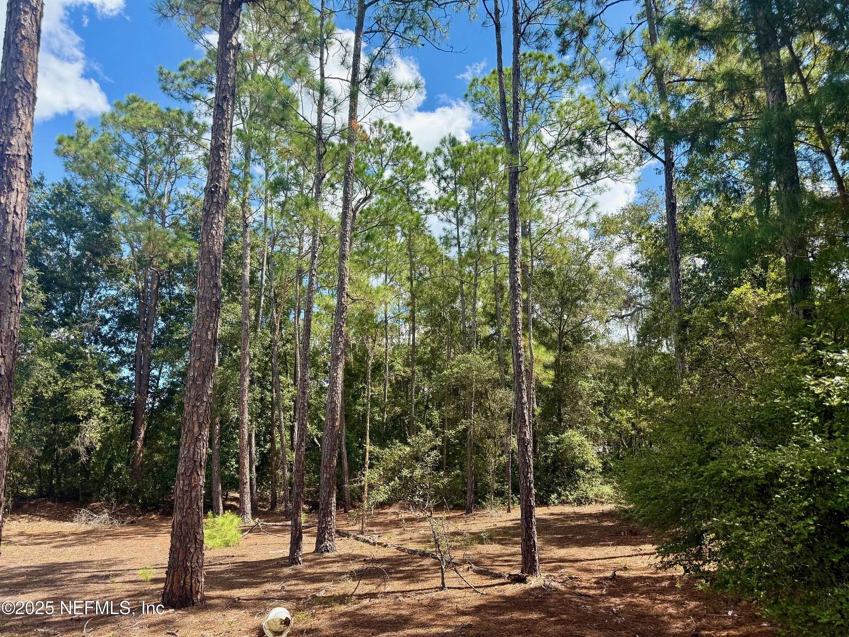 1 Acre of Residential Land for Sale in Florahome, Florida