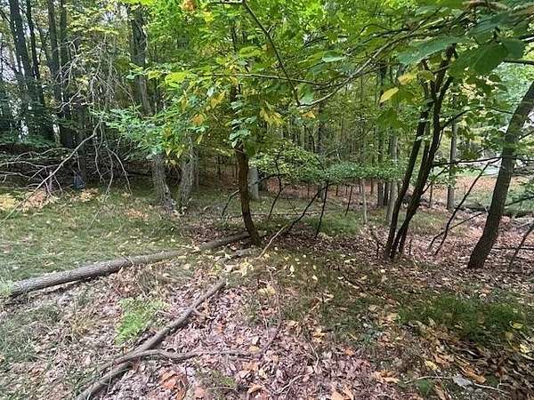 0.5 Acres of Land for Sale in Canadian Lakes, Michigan