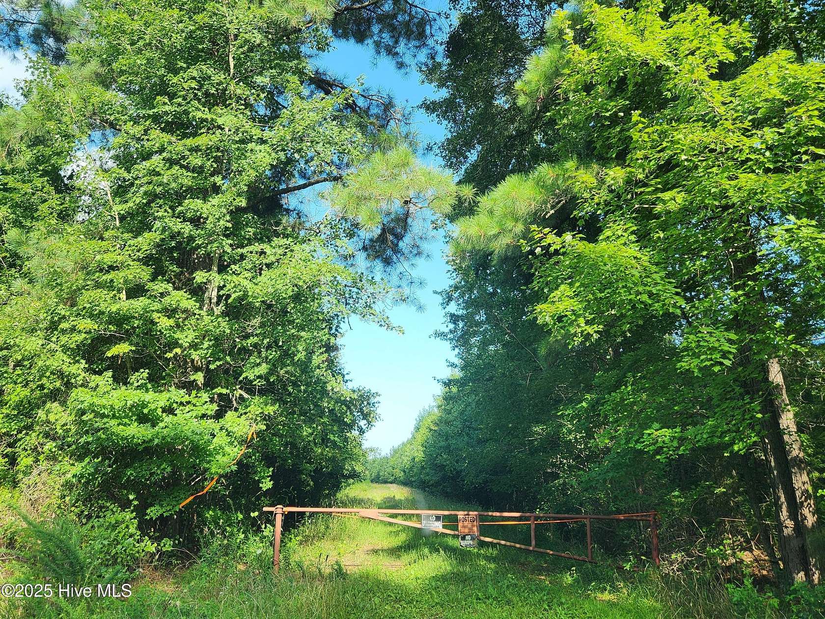 44.5 Acres of Recreational Land for Sale in Gatesville, North Carolina