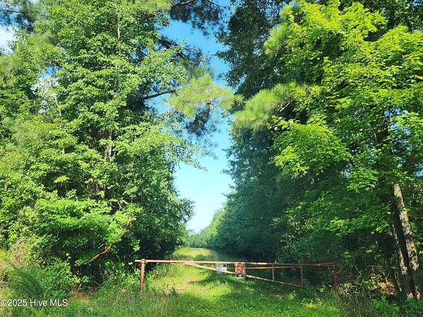 44.5 Acres of Recreational Land for Sale in Gatesville, North Carolina