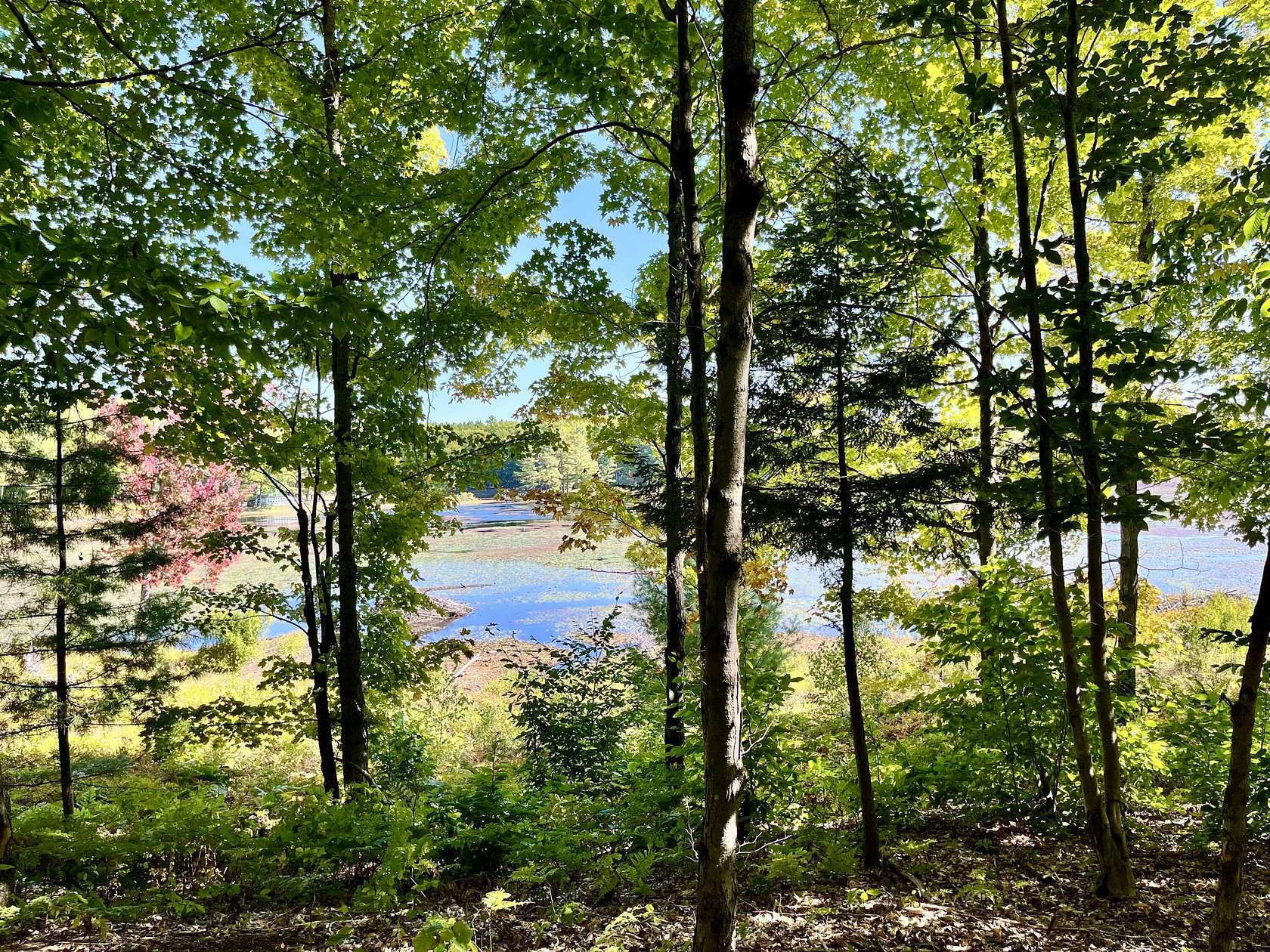 21.6 Acres of Land for Sale in Colton, New York