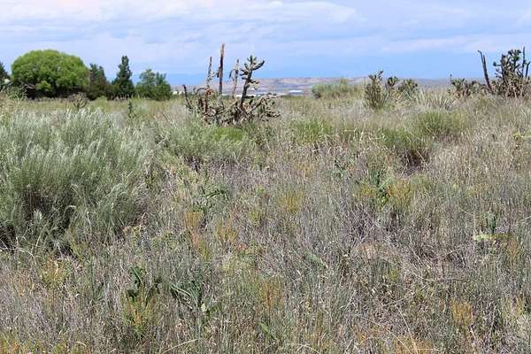 1.7 Acres of Residential Land for Sale in Pueblo, Colorado