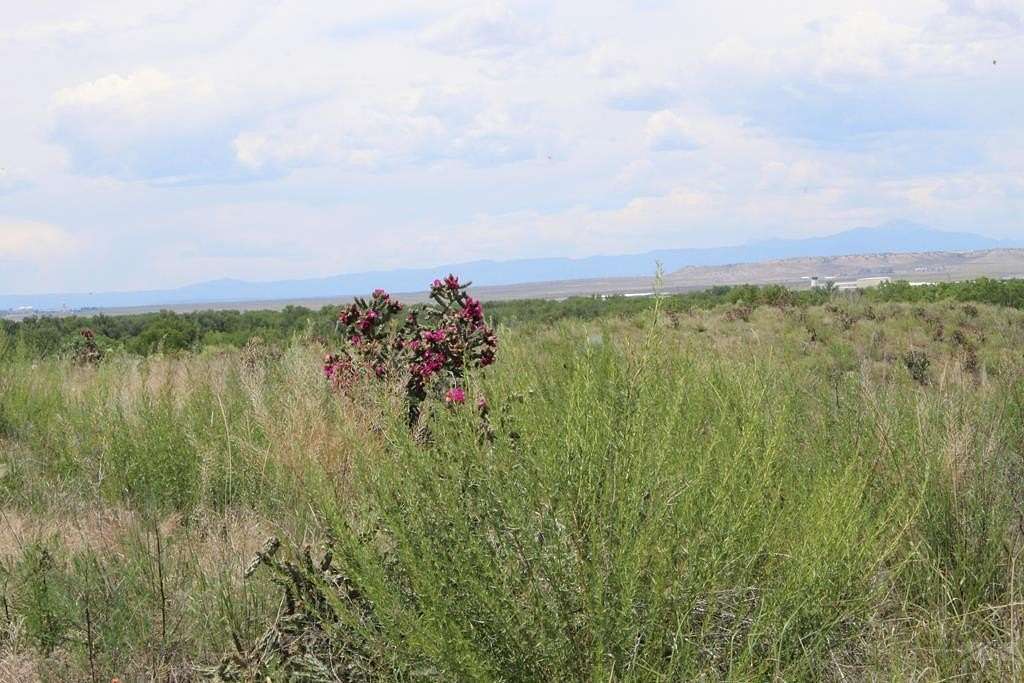 1.67 Acres of Land for Sale in Pueblo, Colorado