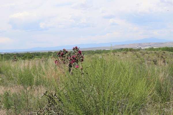 1.67 Acres of Land for Sale in Pueblo, Colorado