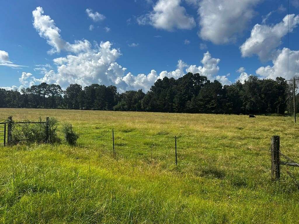 74 Acres of Agricultural Land for Sale in Broaddus, Texas