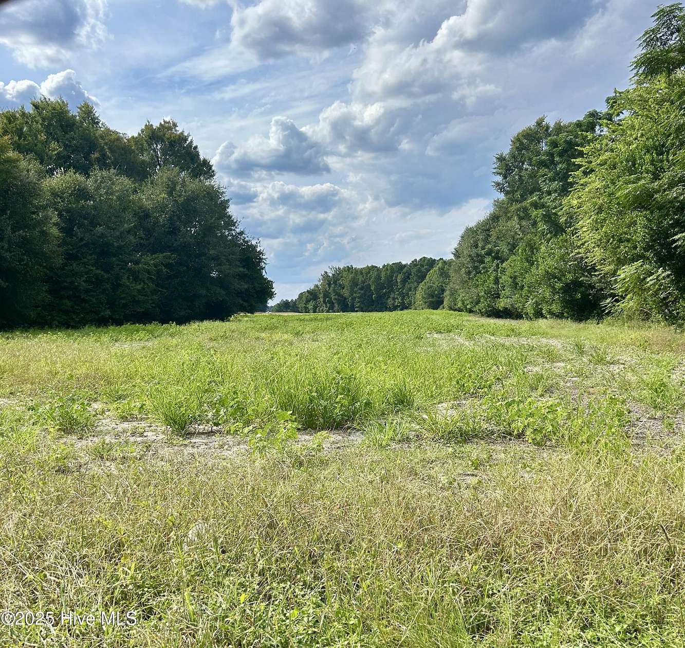 5.6 Acres of Residential Land for Sale in Laurinburg, North Carolina