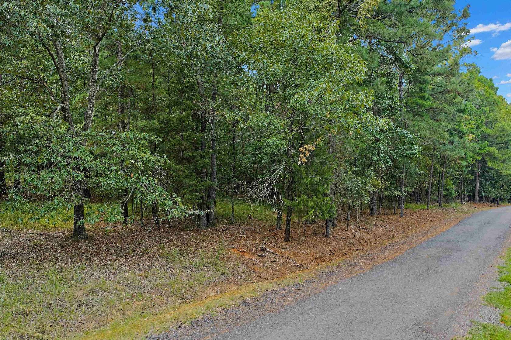 0.84 Acres of Land for Sale in Avinger, Texas
