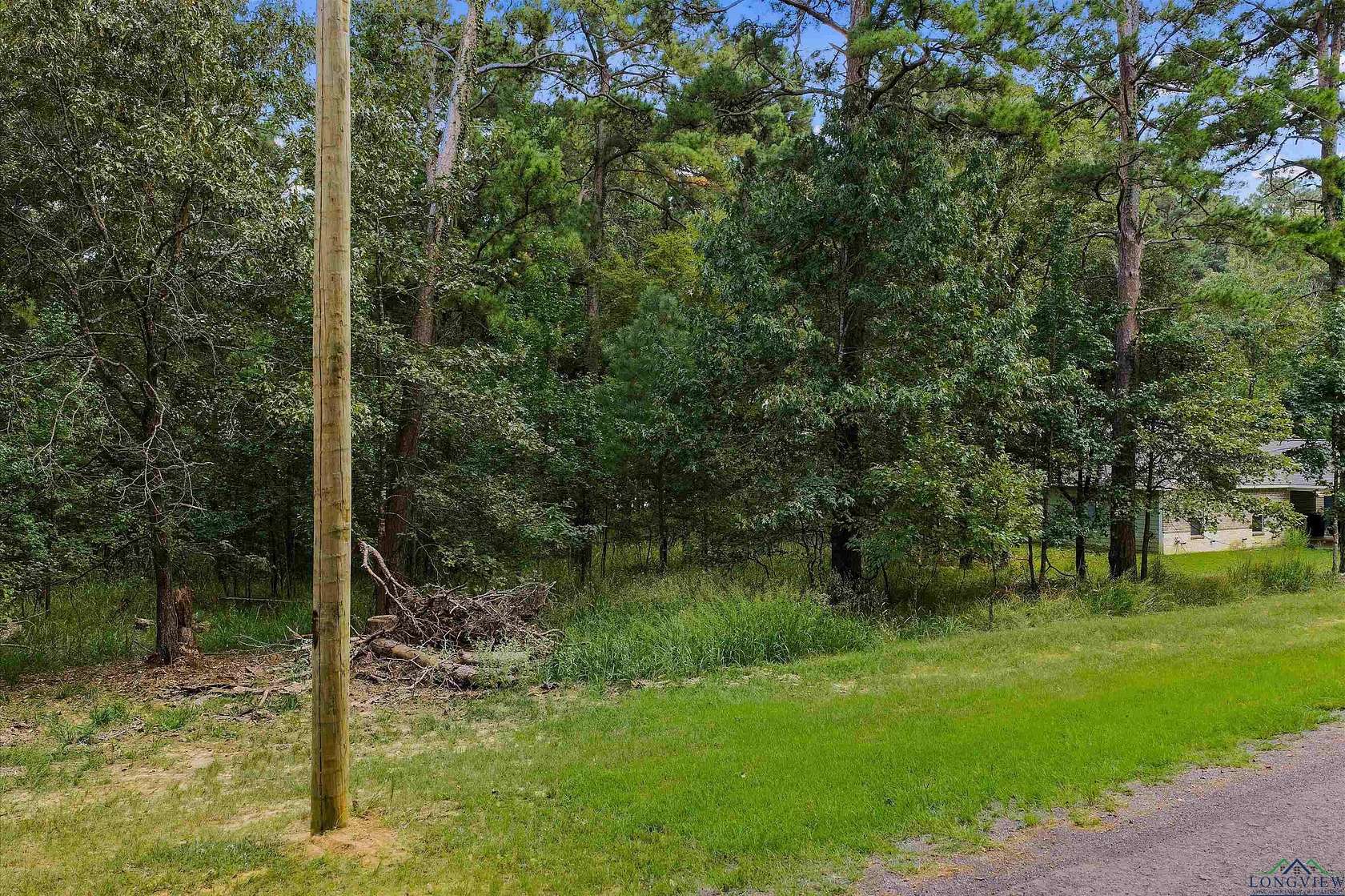 0.42 Acres of Land for Sale in Avinger, Texas