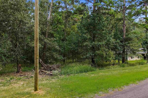 0.42 Acres of Land for Sale in Avinger, Texas