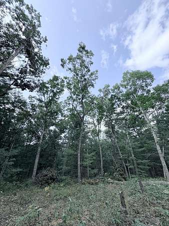 0.51 Acres of Land for Sale in Baldwin, Michigan