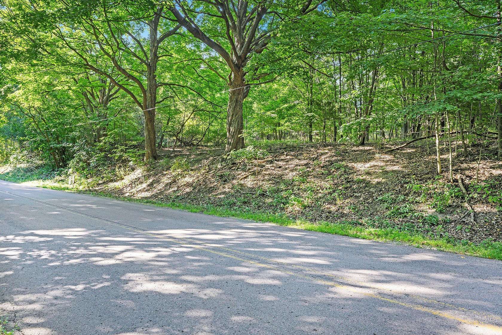 15.6 Acres of Land for Sale in Paw Paw, Michigan