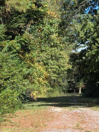 0.48 Acres of Residential Land for Sale in Jamestown, South Carolina