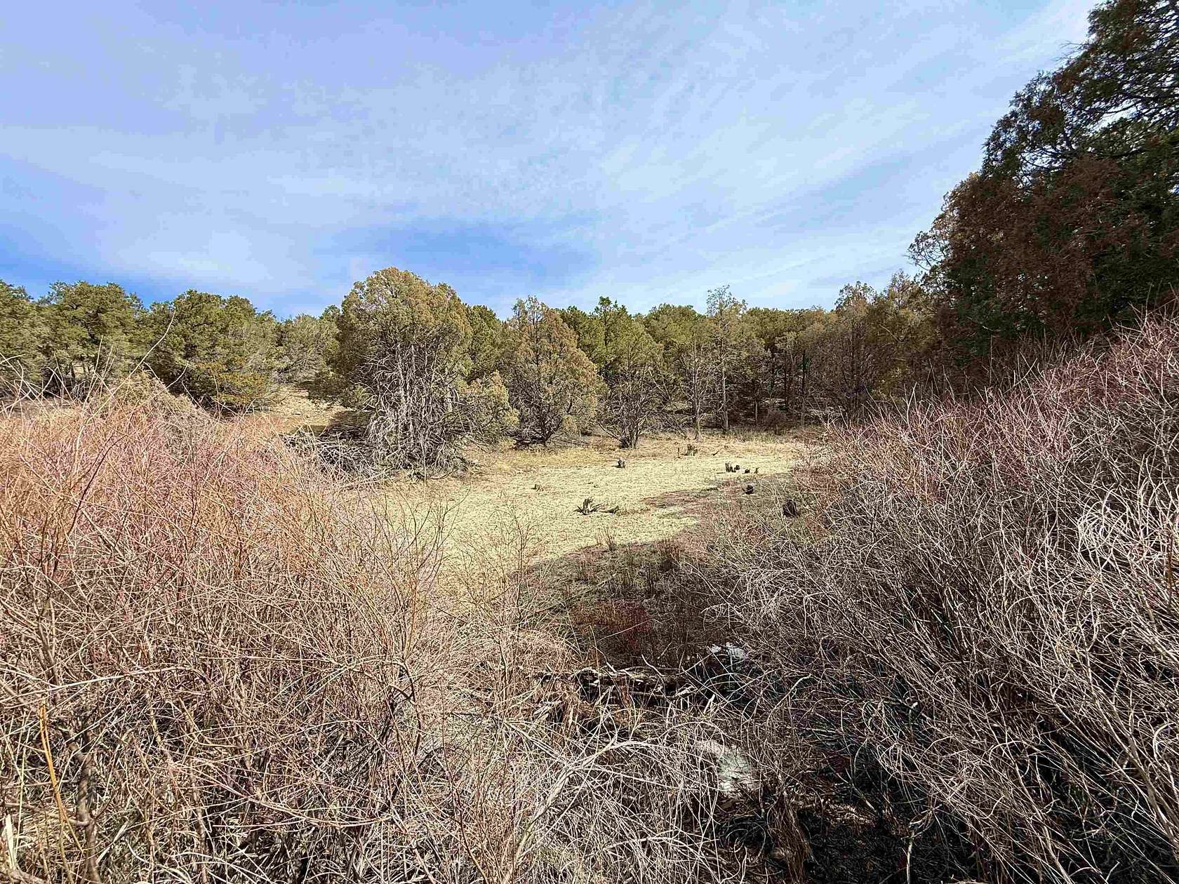 5.13 Acres of Residential Land for Sale in Arroyo Seco, New Mexico