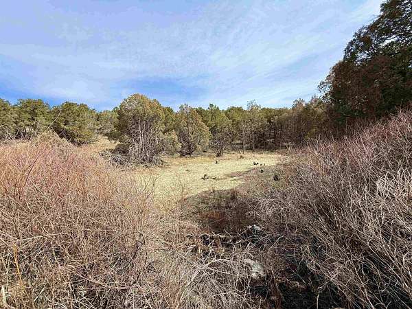 5.13 Acres of Residential Land for Sale in Arroyo Seco, New Mexico