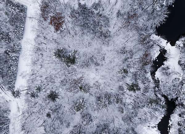 1.3 Acres of Land for Sale in Surry, Maine