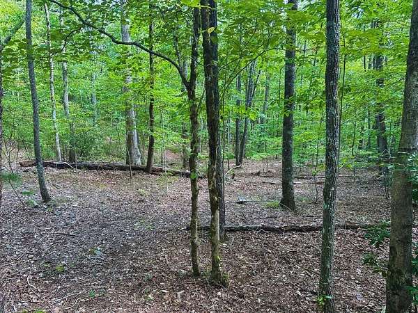0.9 Acres of Land for Sale in Young Harris, Georgia