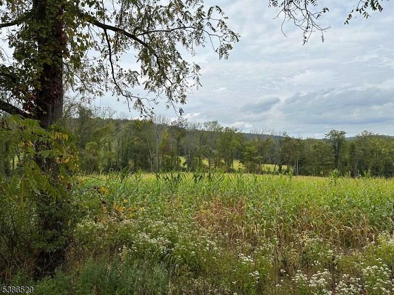 1 Acre of Residential Land for Sale in Liberty Township, New Jersey