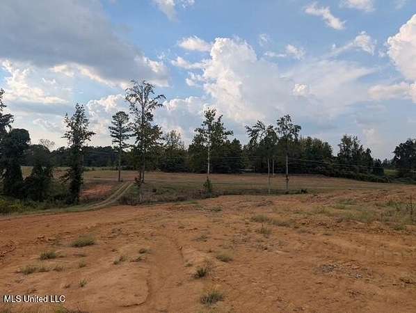 34 Acres of Land for Sale in Holly Springs, Mississippi