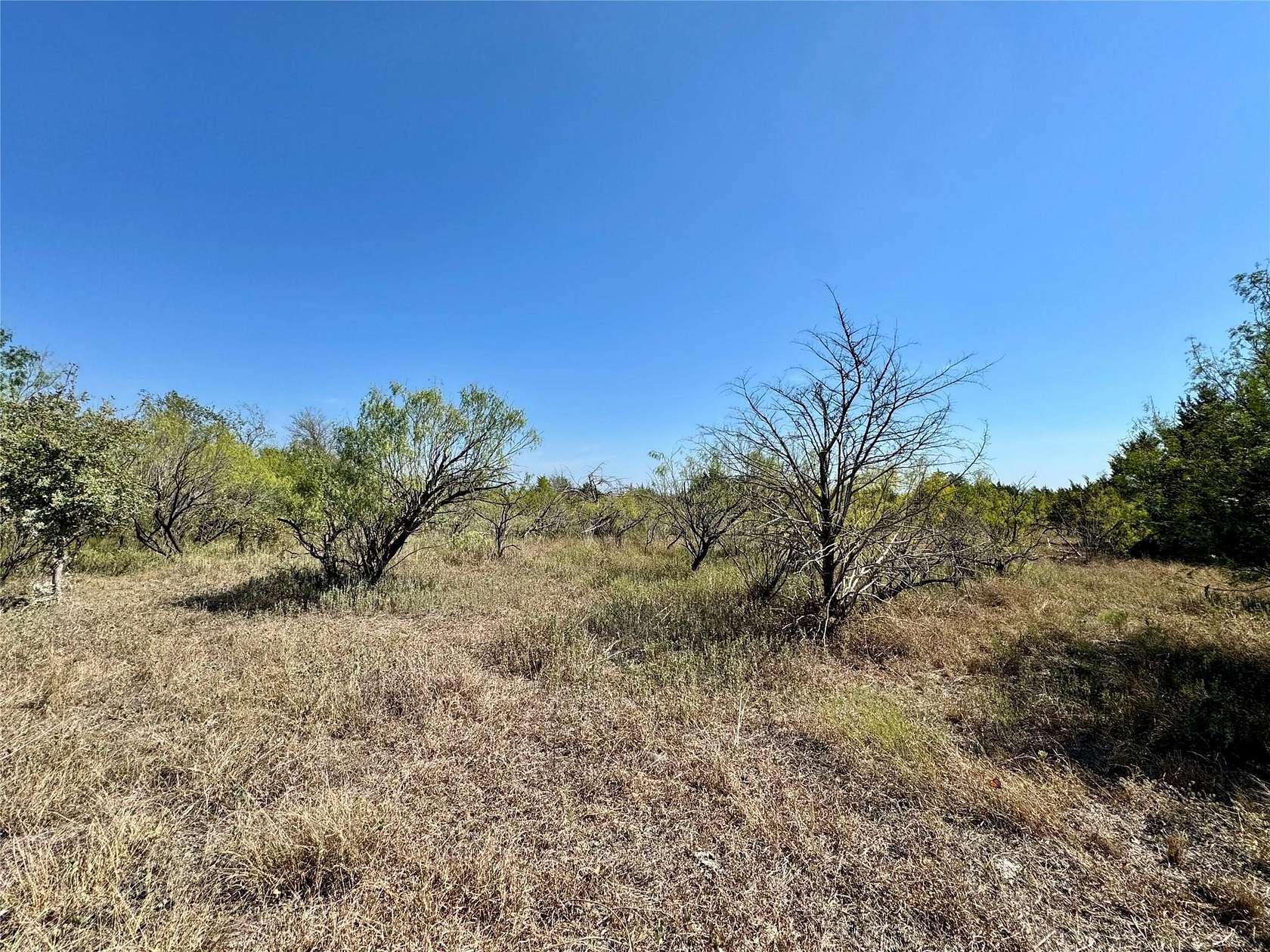 50 Acres of Land for Sale in Austin, Texas