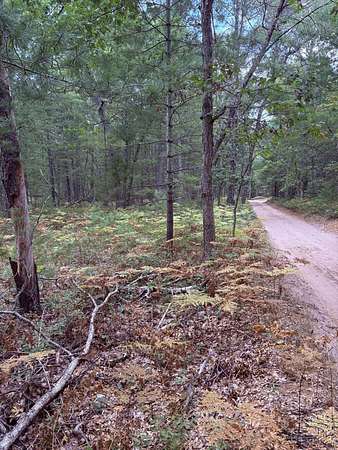 0.32 Acres of Land for Sale in Baldwin, Michigan