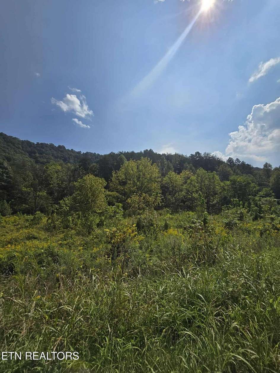 16.9 Acres of Land for Sale in Rogersville, Tennessee