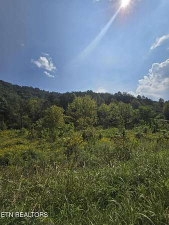 16.9 Acres of Land for Sale in Rogersville, Tennessee