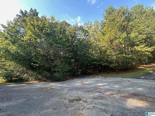 0.8 Acres of Land for Sale in Cropwell, Alabama