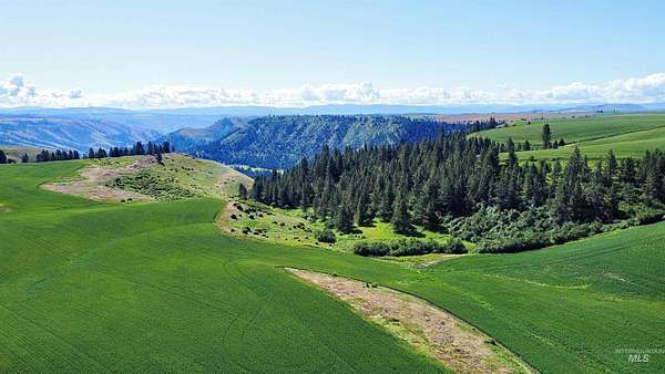 153 Acres of Recreational Land & Farm for Sale in Nezperce, Idaho