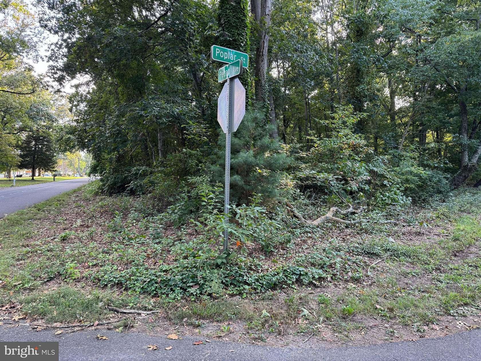 0.68 Acres of Residential Land for Sale in Milford, Delaware