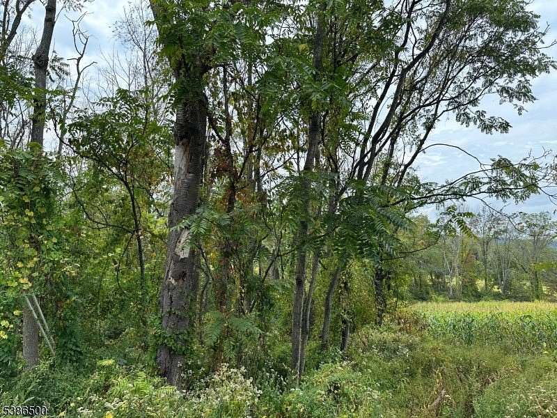 1 Acre of Residential Land for Sale in Liberty Township, New Jersey