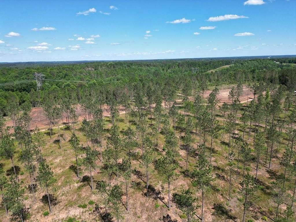 5 Acres of Residential Land for Sale in Banks, Alabama