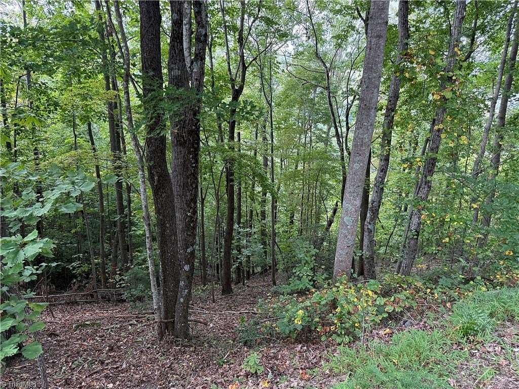 2.6 Acres of Residential Land for Sale in Moravian Falls, North Carolina
