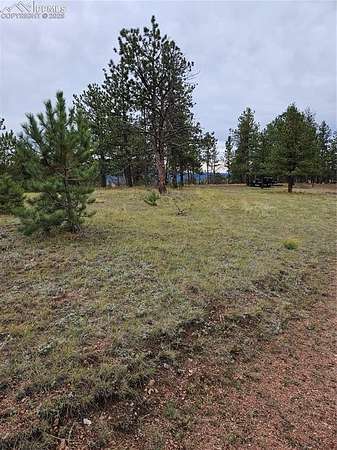 2 Acres of Residential Land for Sale in Florissant, Colorado