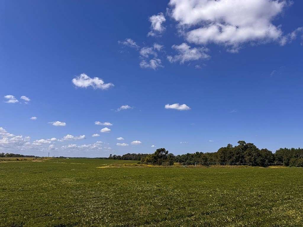 43.8 Acres of Land for Sale in Tifton, Georgia