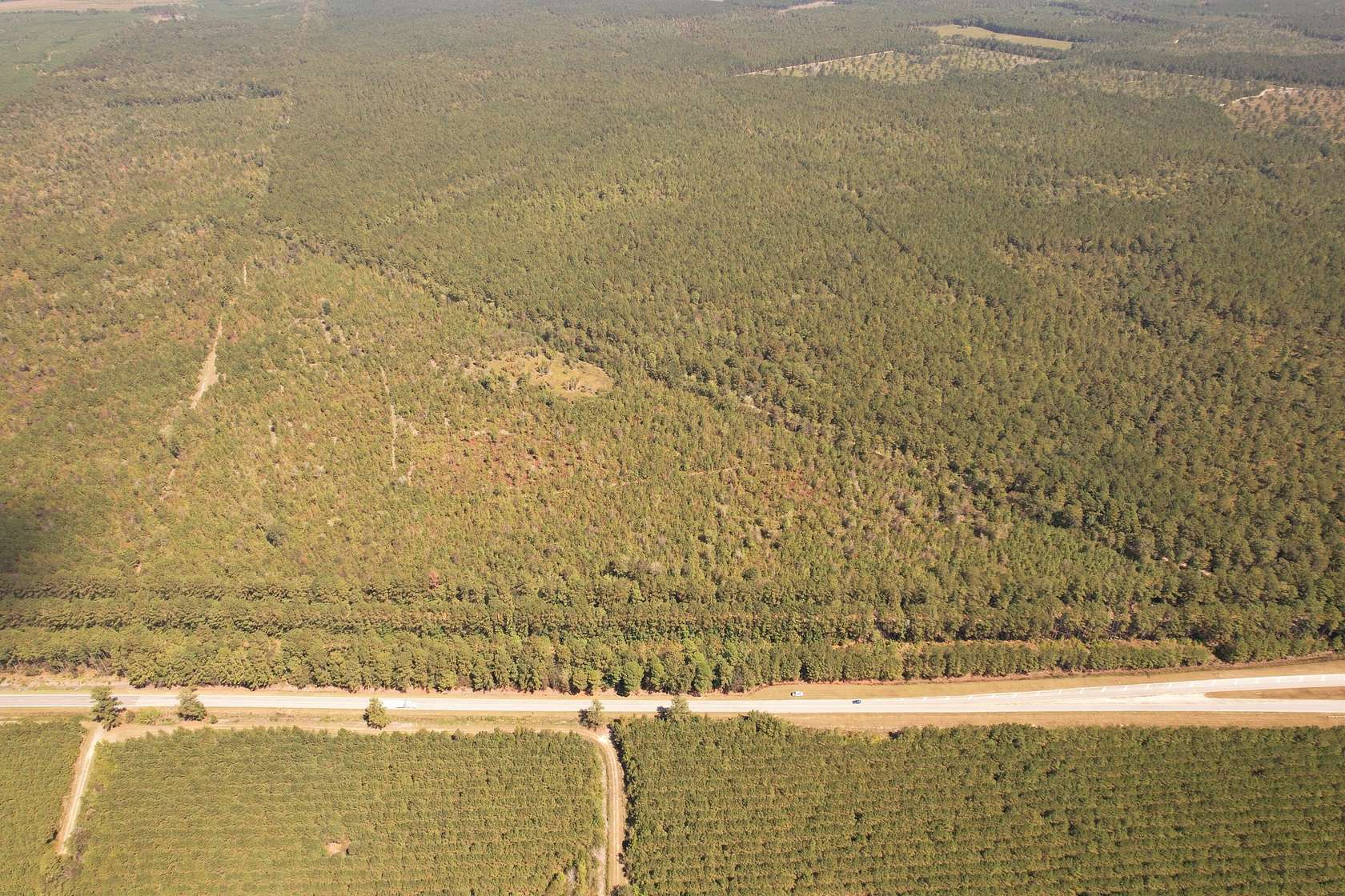 61.1 Acres of Recreational Land for Sale in Greeleyville, South Carolina