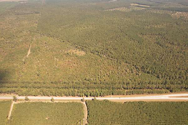 61.1 Acres of Recreational Land for Sale in Greeleyville, South Carolina