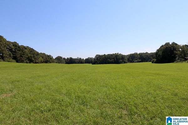 34 Acres of Land for Sale in Clanton, Alabama