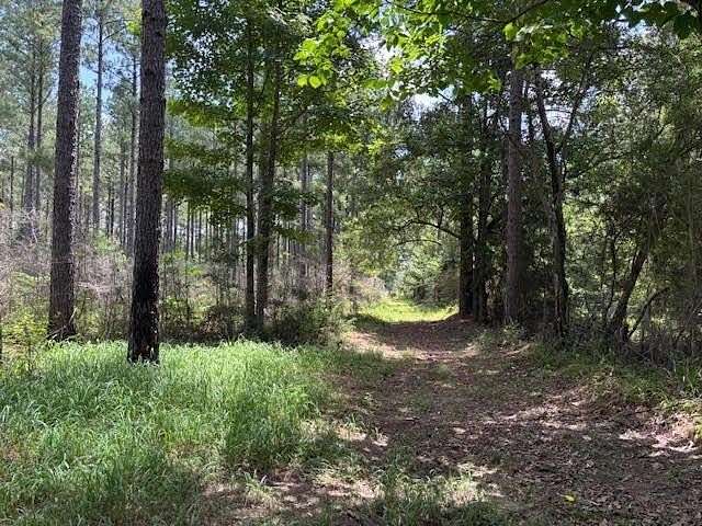 61.2 Acres of Recreational Land for Sale in Jayess, Mississippi
