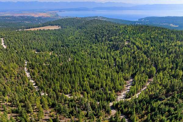 20 Acres of Recreational Land for Sale in Somers, Montana