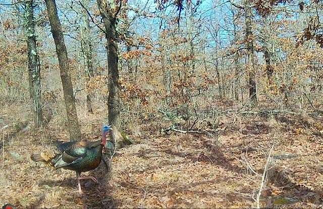 88 Acres of Recreational Land & Farm for Sale in Weleetka, Oklahoma