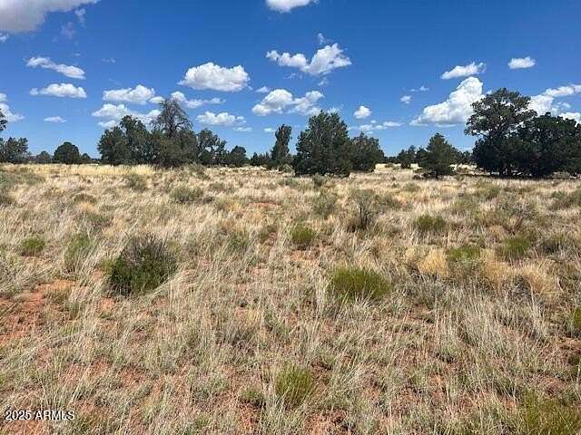 1.24 Acres of Land for Sale in Williams, Arizona