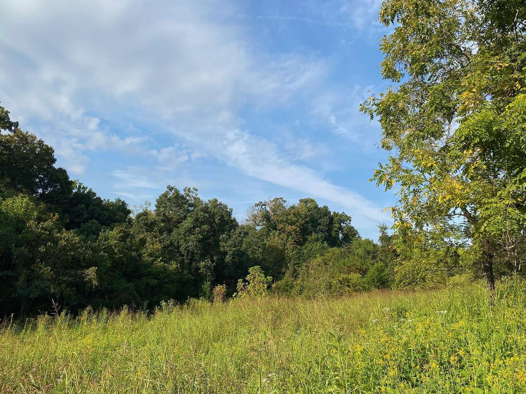 0.9 Acres of Residential Land for Sale in Bean Station, Tennessee