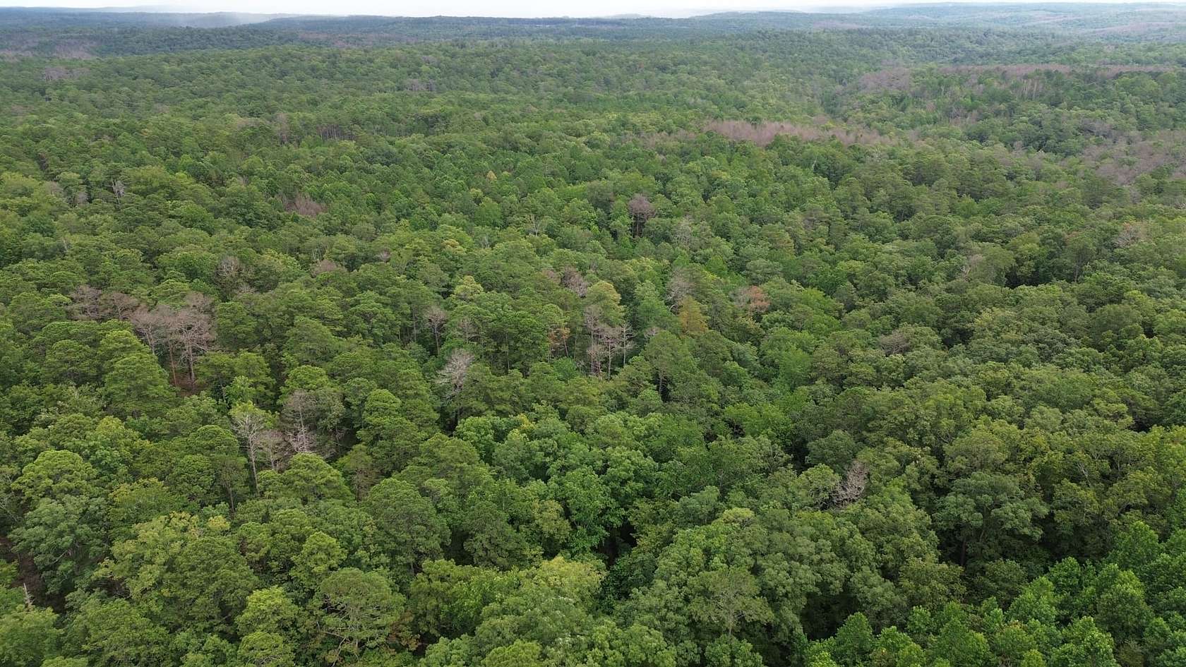 15 Acres of Recreational Land for Sale in Houston, Alabama