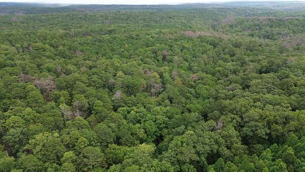 15 Acres of Recreational Land for Sale in Houston, Alabama