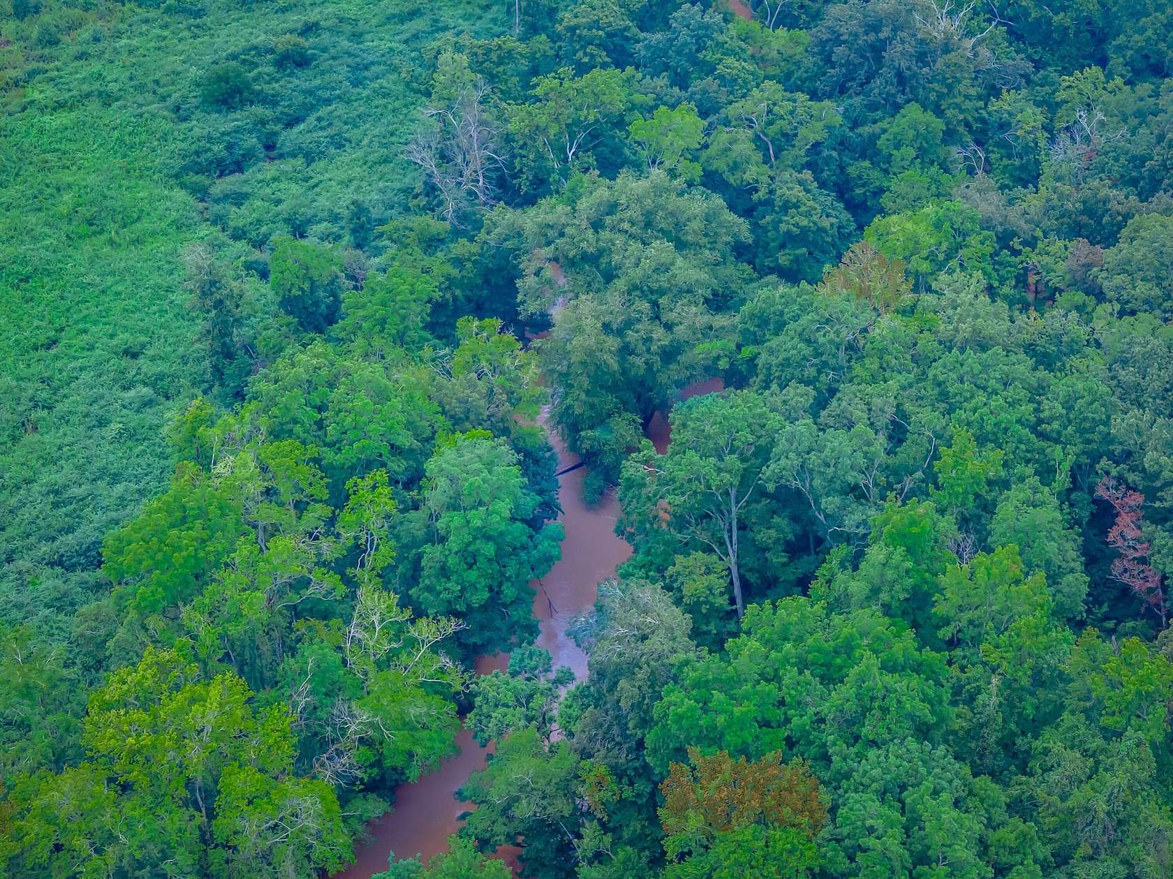 275 Acres of Recreational Land for Sale in Chester, South Carolina
