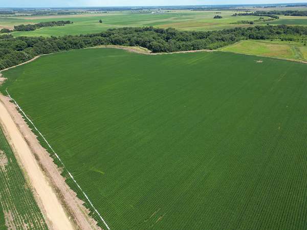 112 Acres of Recreational Land & Farm for Sale in Drew, Mississippi