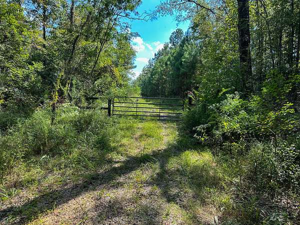 37 Acres of Recreational Land for Sale in Gloster, Mississippi